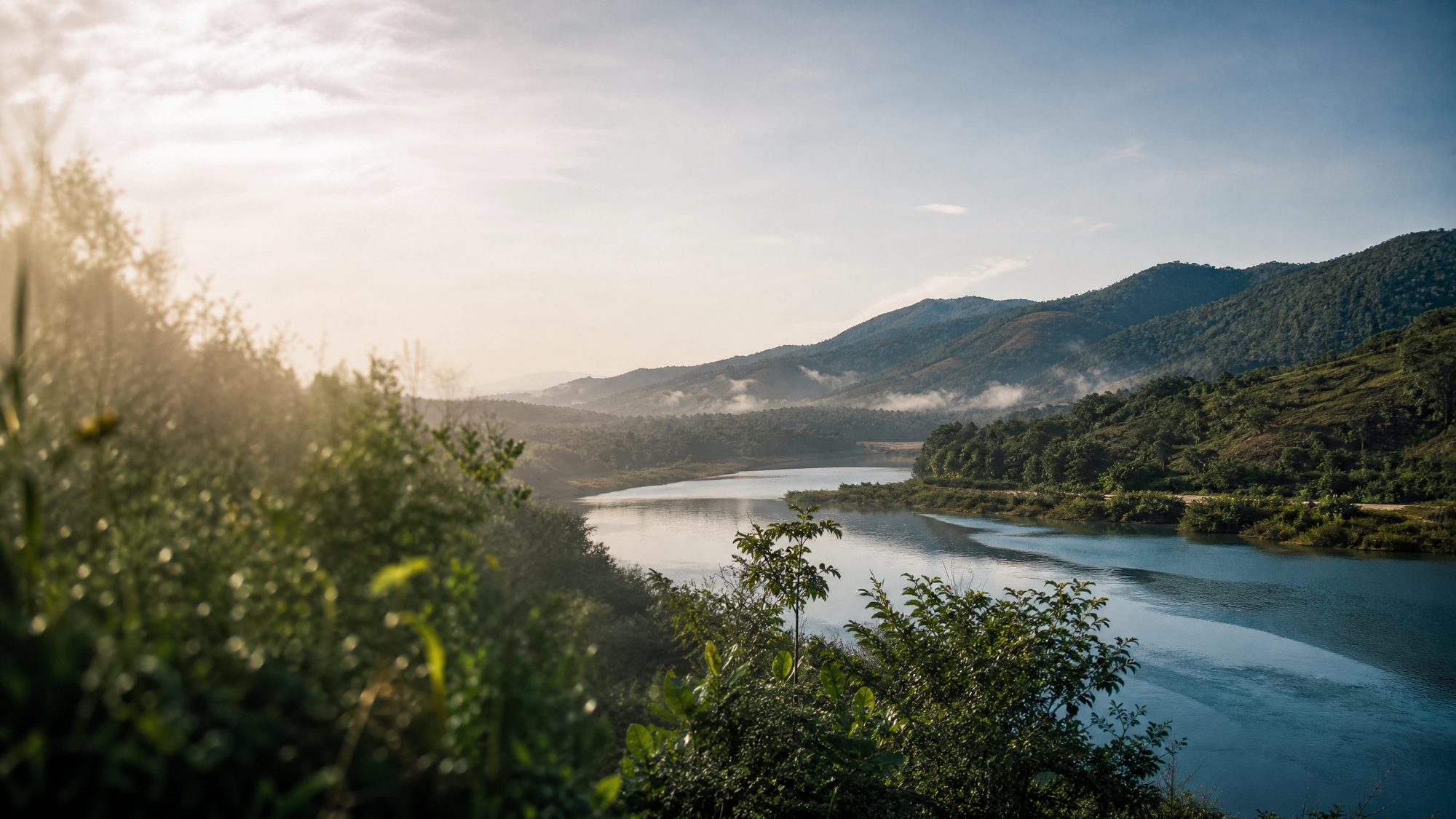Paisagem de água e floresta